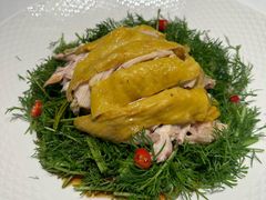 茴香手撕鸡-北李妈妈菜·虾爬子大锅贴(贵和店)