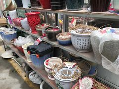 -龙大花卉苗木市场