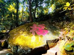 -福清灵石山国家森林公园