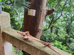 -天台山赤城山景区