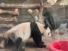 -宁波野生动物园