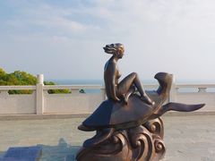 -广东惠东海龟国家级自然保护区