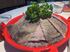 -二荆条·城市森林火锅旗舰店