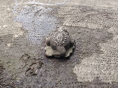 -天下玉苑