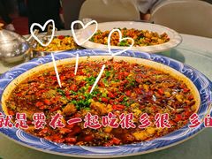 -新概念来凤鱼(璧山店)