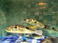 iphone_upload_pic-宝宇大连海鲜渔港(金奎大厦店)