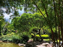 -晓港公园