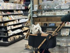 -MUJI无印良品(金狮广场店)