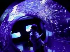 -成都浩海立方海洋公园