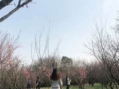 -蜀冈西峰生态公园