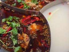 -新辣道鱼火锅(上地华联店)