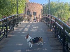 -J Create城市露营咖啡·简餐·宠物(上海动物园店)