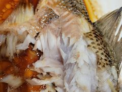 -蟹岛开饭楼