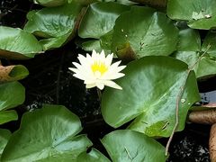 -湾里人家(旺山景区店)
