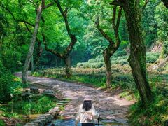 -小河直街历史文化街区