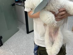 -四月宠物医院·猫专科·心脏专科·内科(转塘店)