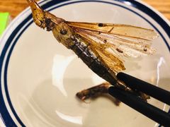 -缘生态云南菜·野生菌庭院餐厅(华侨城店)