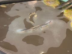 -小肥牛潮汕牛肉火锅(南联店)