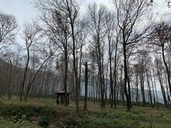 -小皓村