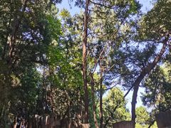 -金堂县云顶石城风景区