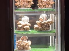 -捞王猪肚鸡火锅(金华义乌之心店)