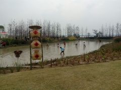 -下渚湖国家湿地公园科普馆