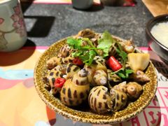 芥末花螺-蛙小侠(珠海华发商都店)