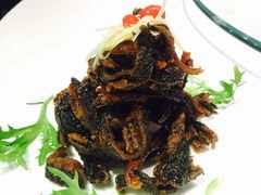 -天福苑(崇宁路店)