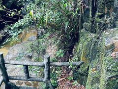 -鼎湖山风景区