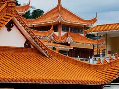 -深圳仙湖植物园
