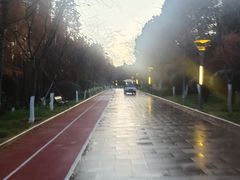 -洛龙公园