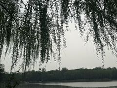 -廊坊市自然公园