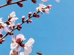 -中国中医科学院西苑医院(本部)