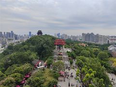 -黄鹤楼公园(黄鹤楼)