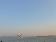 -深圳湾公园(南山区)