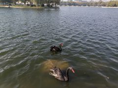 -长春世界雕塑园冰雪艺术天地