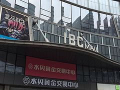 -奈雪的茶(水贝IBC店)