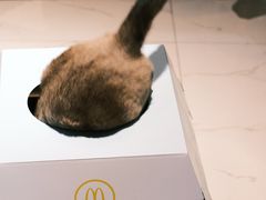 -麦当劳(磨子桥店)