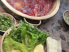 -小龙坎火锅(春熙太古里店)