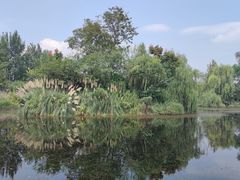 -白鹭湾湿地公园