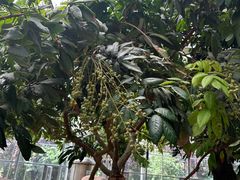 -南通洲际绿博园