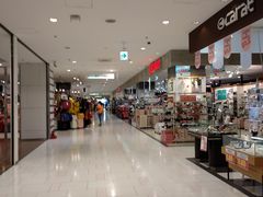 -Don Quijote(京都Avanti店)