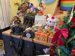 -Oolong乌龙茶古着店