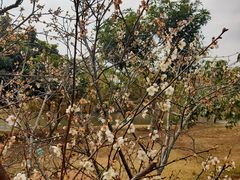 -中国移动南方基地