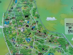 -合肥野生动物园