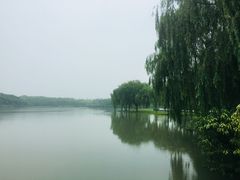 -东华大学(松江校区)