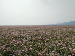 -鄱阳湖国家湿地公园
