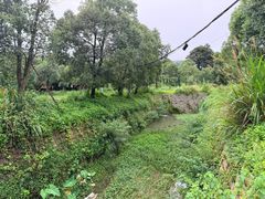 -莆田南少林寺