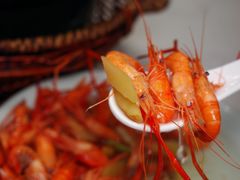 -蟹天蟹地农家菜·阳澄湖大闸蟹(浅水湾店)