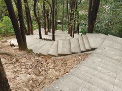 -火炉山森林公园